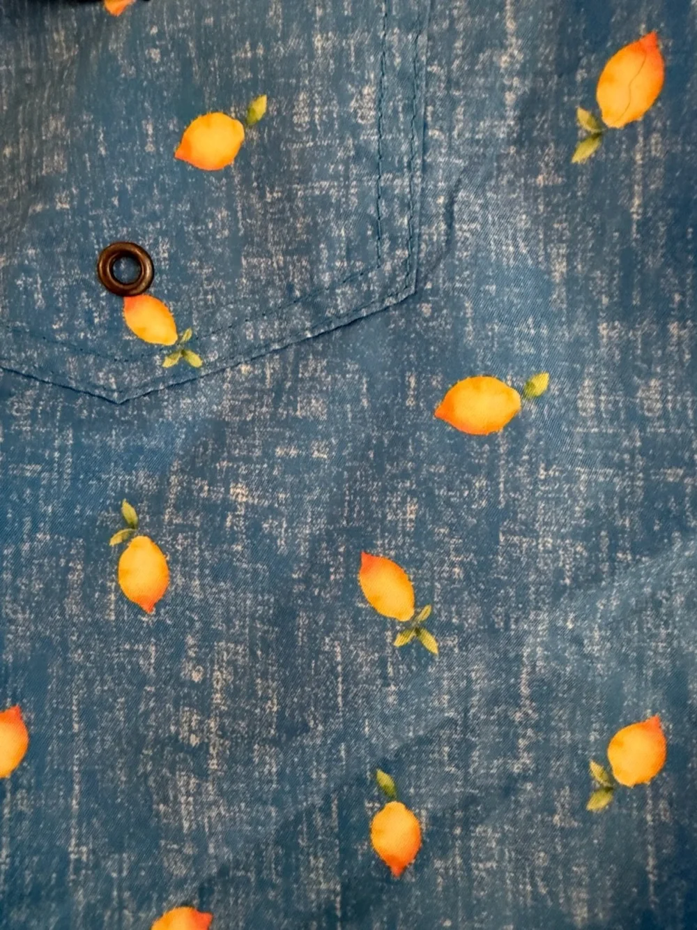Trunks Surf & Swim Sano Chambray Lemons Swim Trunks NWT